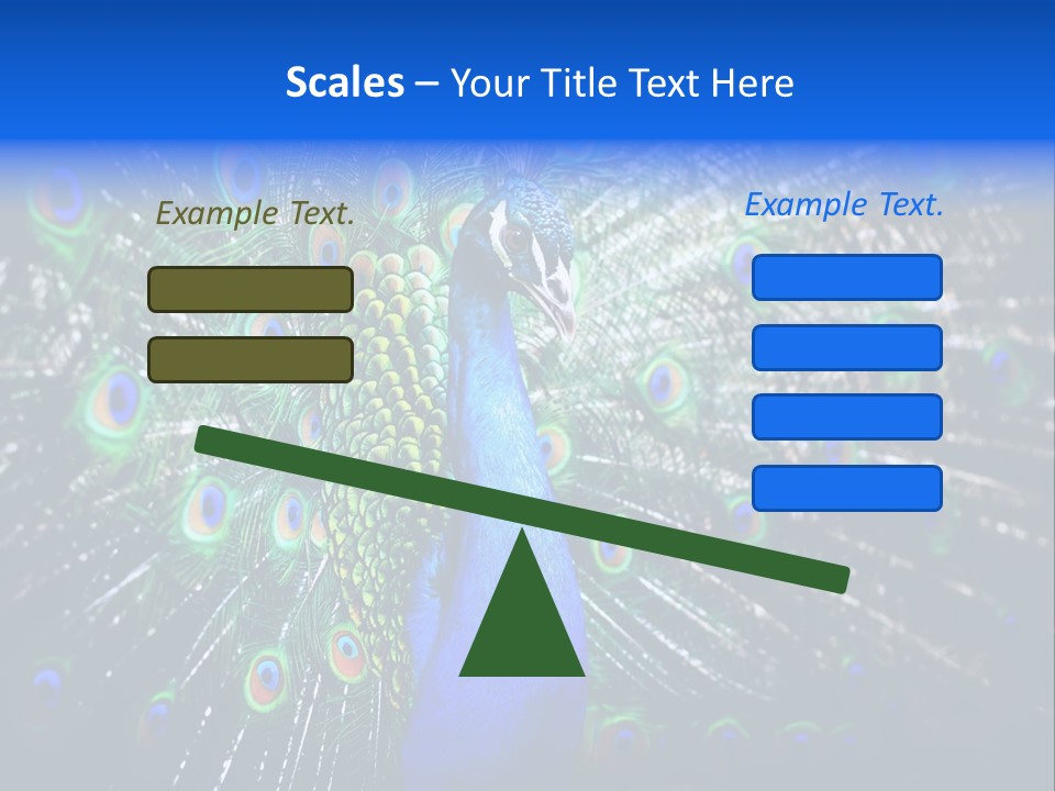 Male Vibrant Closeup PowerPoint Template