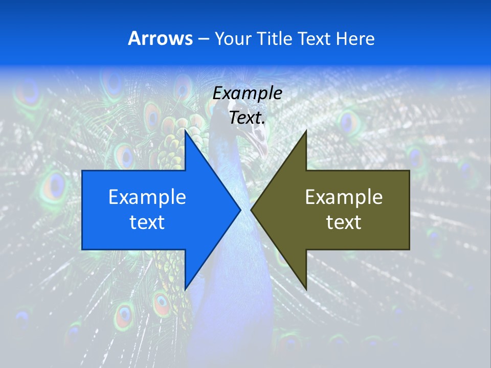 Male Vibrant Closeup PowerPoint Template