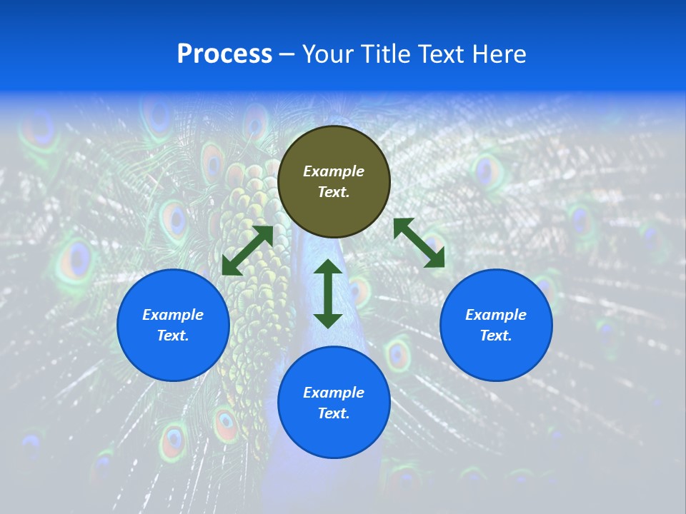 Male Vibrant Closeup PowerPoint Template