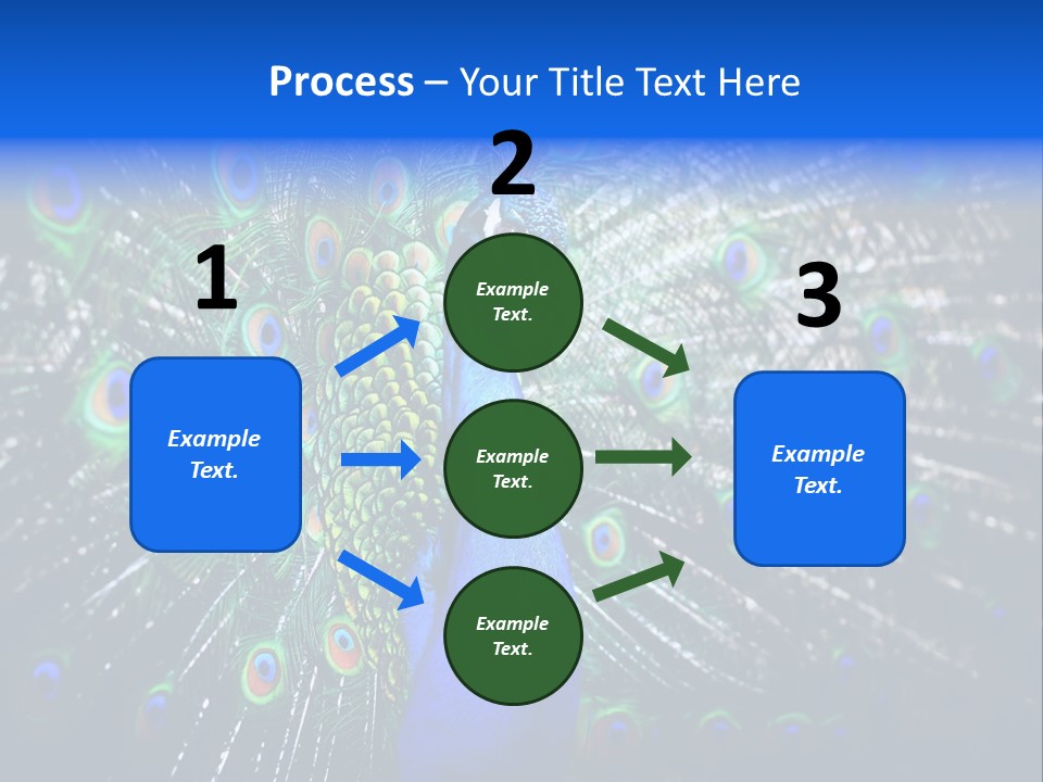 Male Vibrant Closeup PowerPoint Template