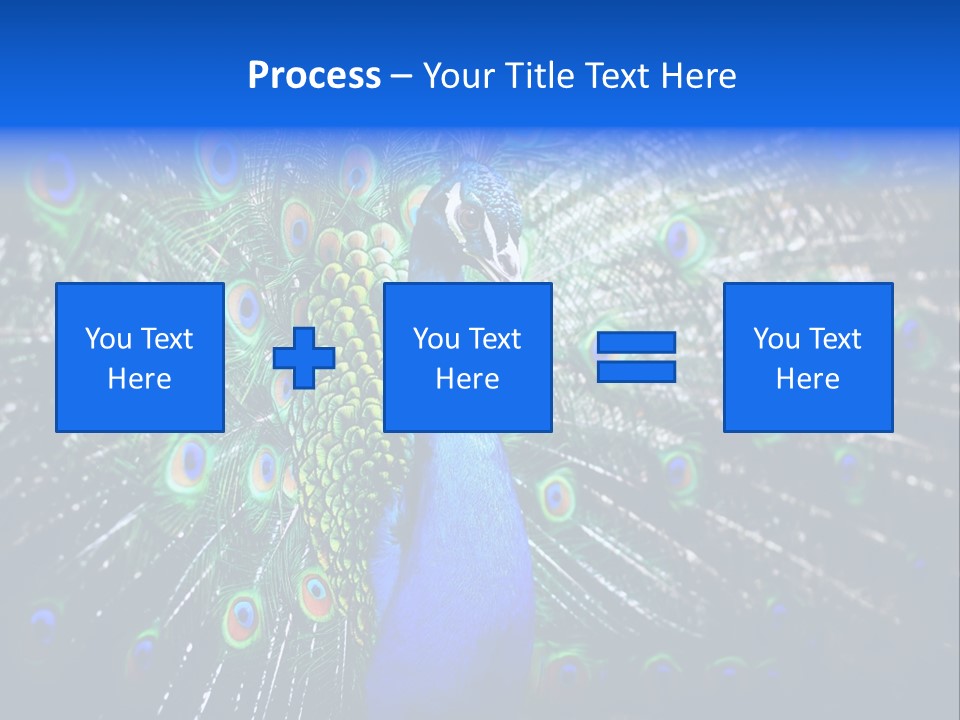 Male Vibrant Closeup PowerPoint Template