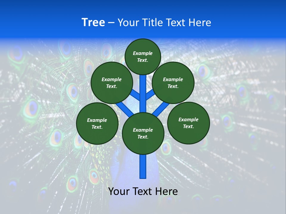 Male Vibrant Closeup PowerPoint Template