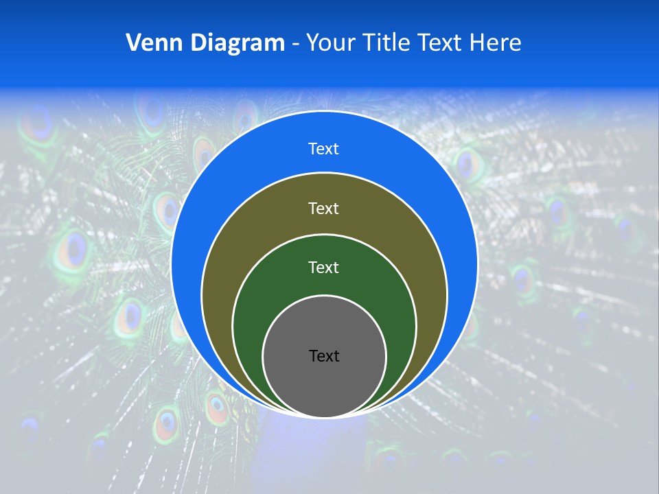 Male Vibrant Closeup PowerPoint Template