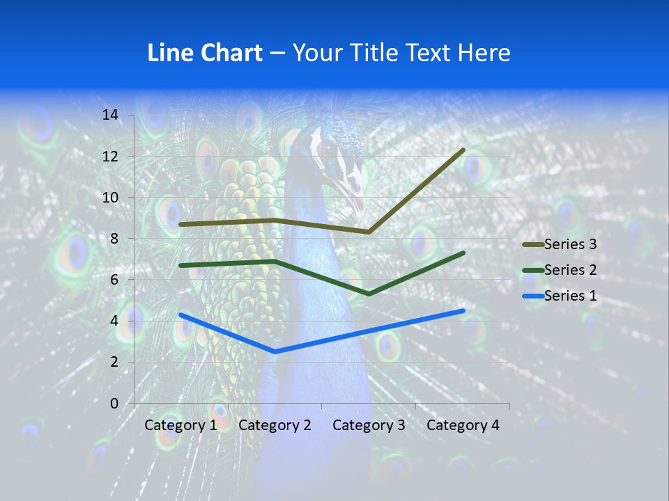 Male Vibrant Closeup PowerPoint Template