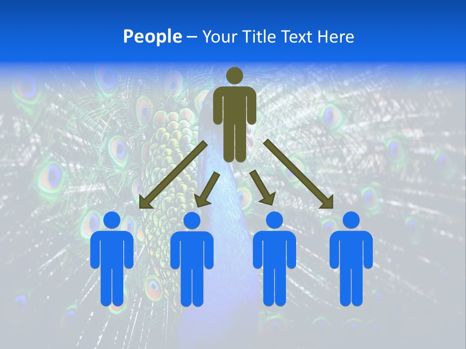 Male Vibrant Closeup PowerPoint Template