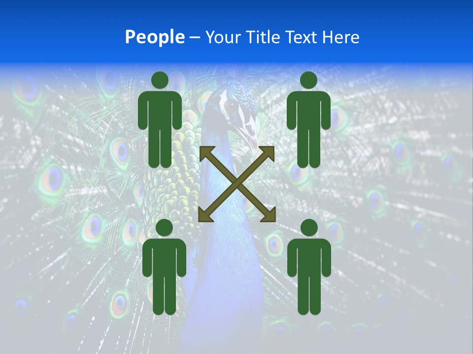 Male Vibrant Closeup PowerPoint Template