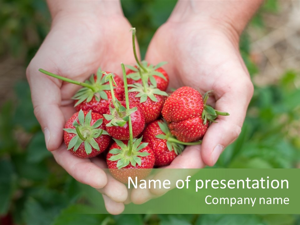 Growth Monoculture Fruit PowerPoint Template