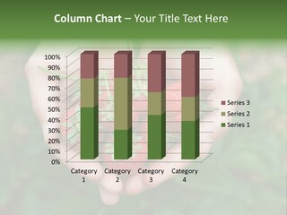 Growth Monoculture Fruit PowerPoint Template