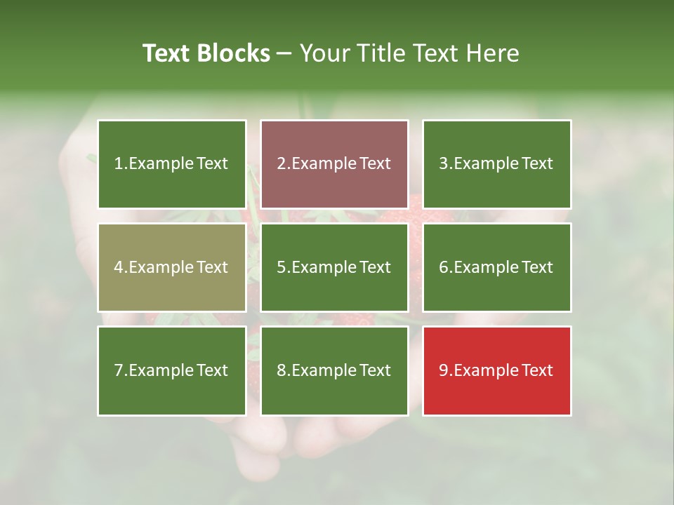Growth Monoculture Fruit PowerPoint Template