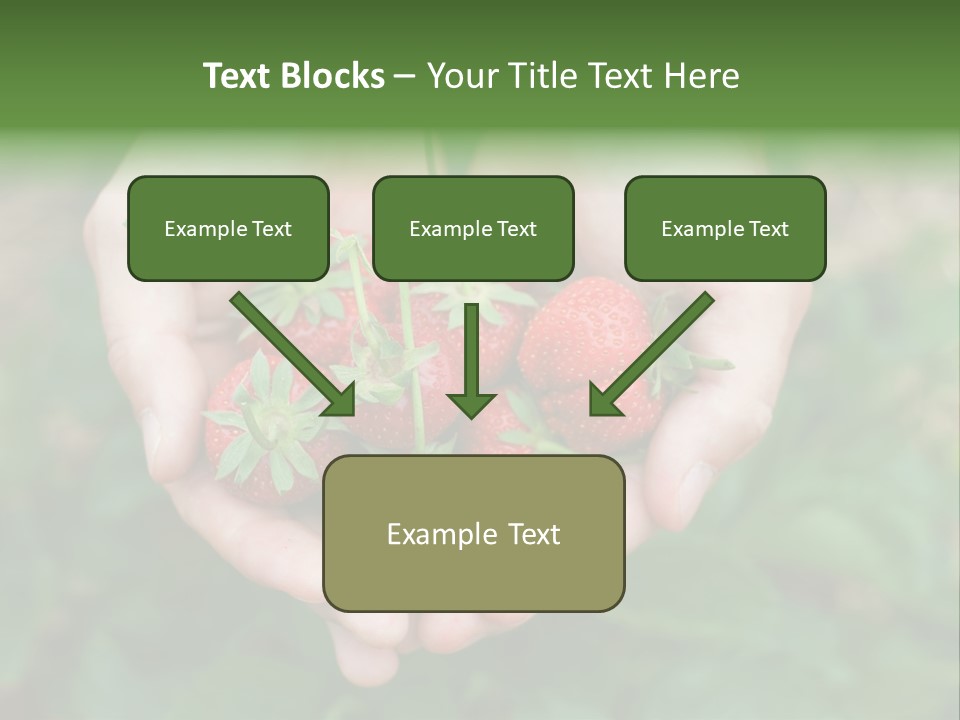 Growth Monoculture Fruit PowerPoint Template
