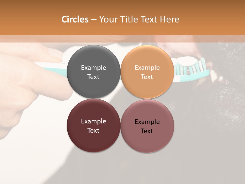 Hold Blue Boxer PowerPoint Template