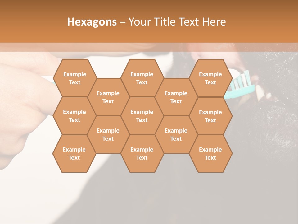 Hold Blue Boxer PowerPoint Template