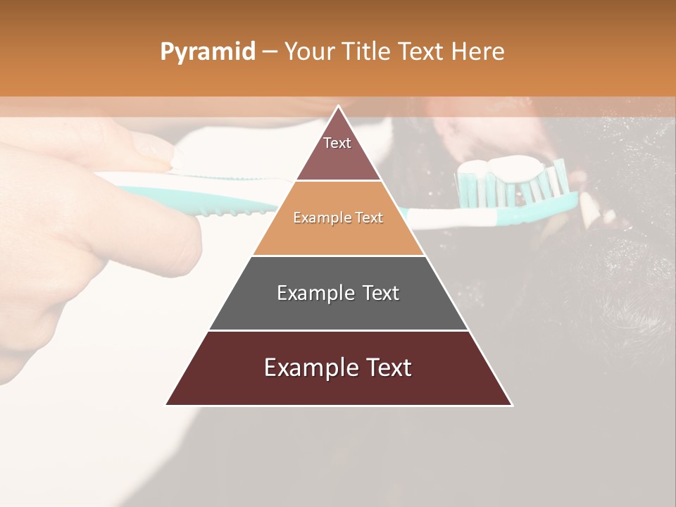 Hold Blue Boxer PowerPoint Template