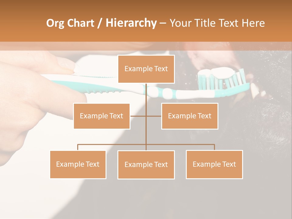 Hold Blue Boxer PowerPoint Template