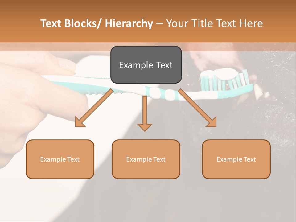 Hold Blue Boxer PowerPoint Template