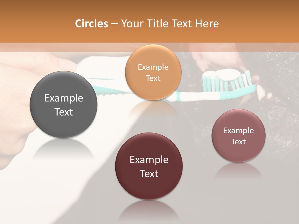 Hold Blue Boxer PowerPoint Template