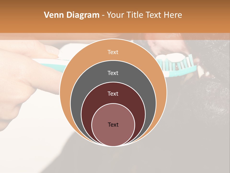 Hold Blue Boxer PowerPoint Template