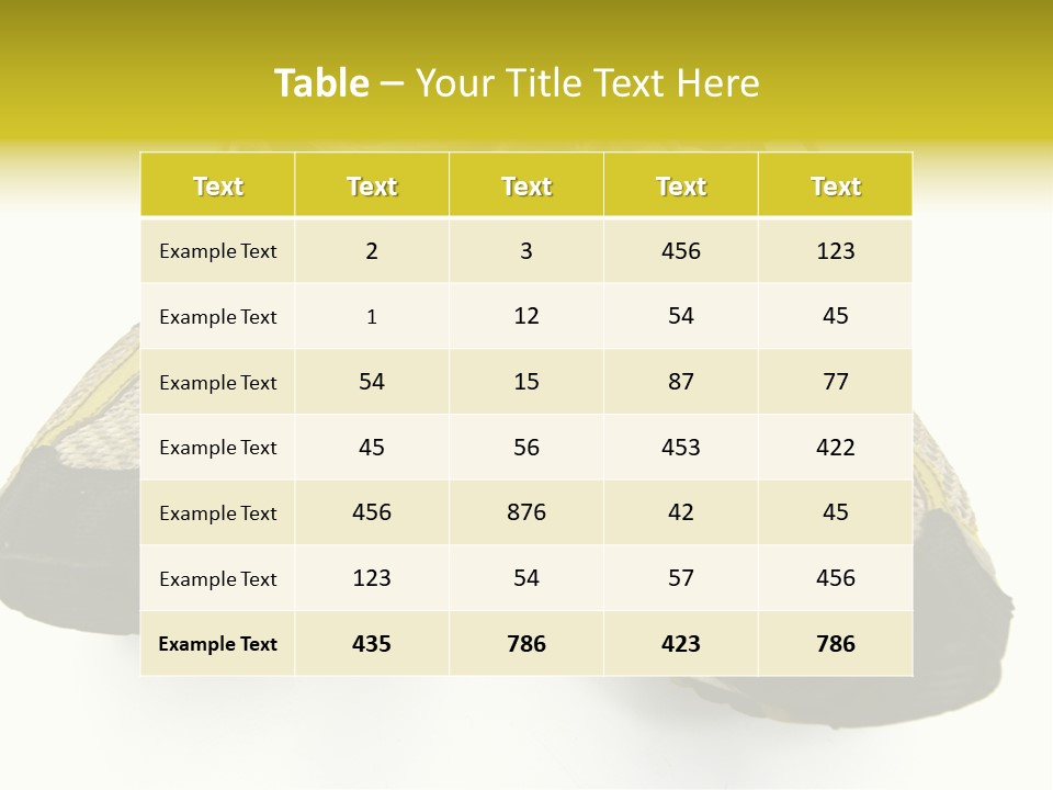 Black Rubber Lace PowerPoint Template