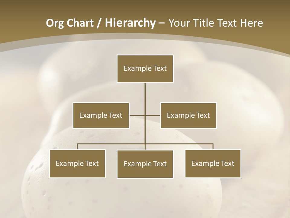 Fresh Homegrown Produce PowerPoint Template
