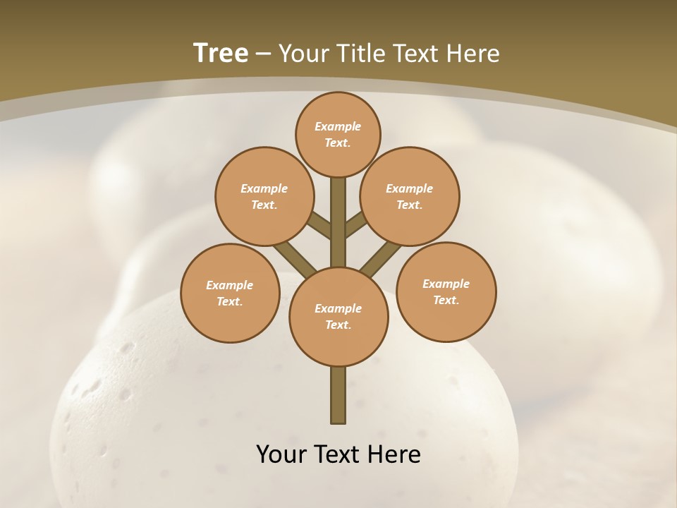 Fresh Homegrown Produce PowerPoint Template