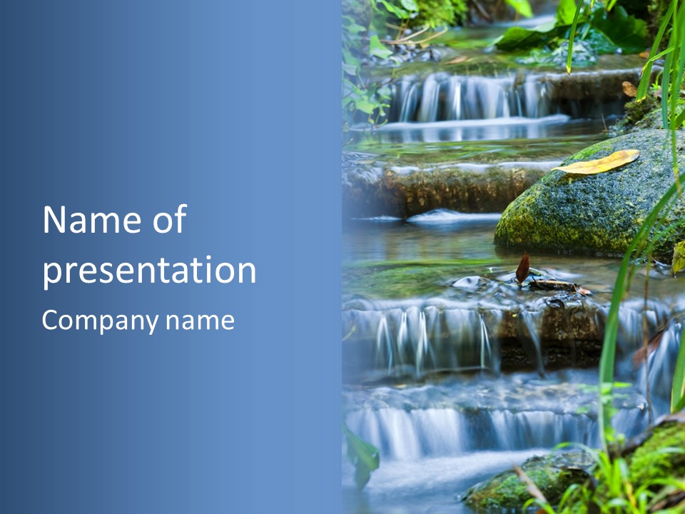 Beautiful Wet Spring PowerPoint Template