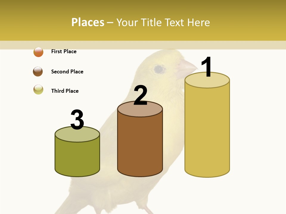 Fauna Exclusive Aves PowerPoint Template