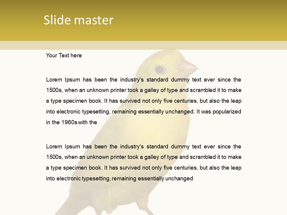 Fauna Exclusive Aves PowerPoint Template