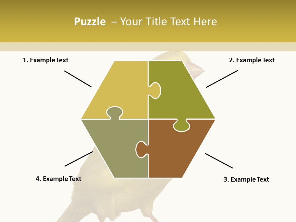 Fauna Exclusive Aves PowerPoint Template