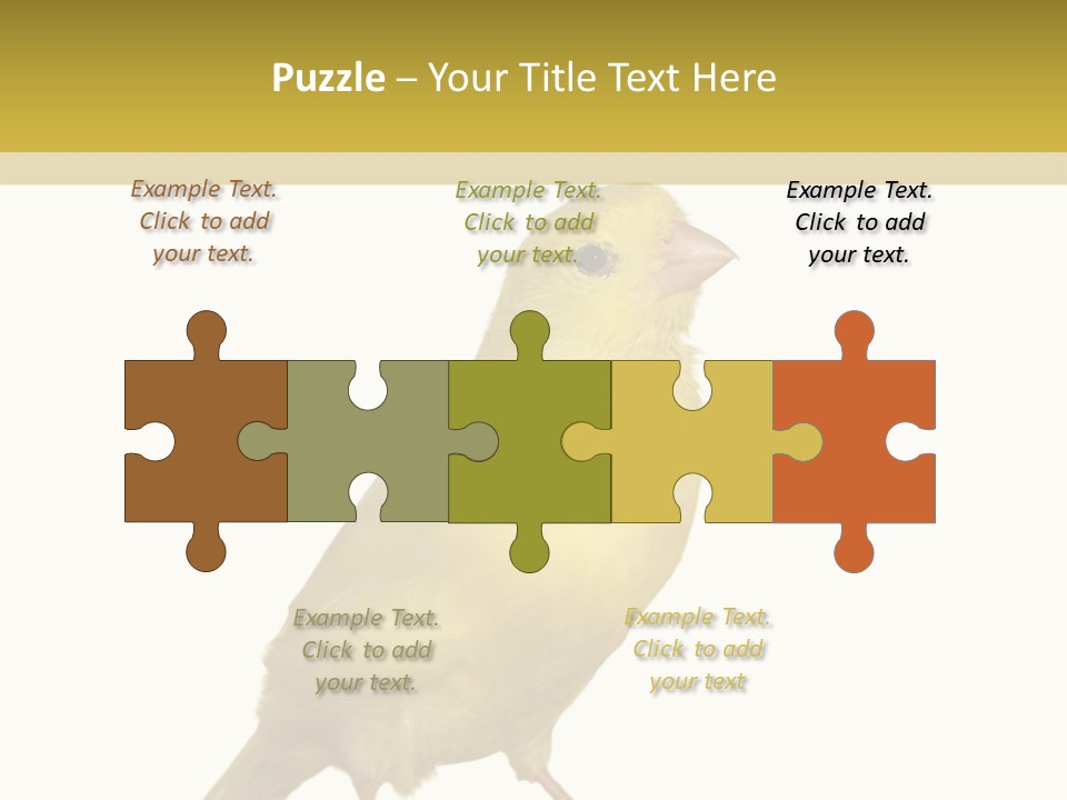 Fauna Exclusive Aves PowerPoint Template