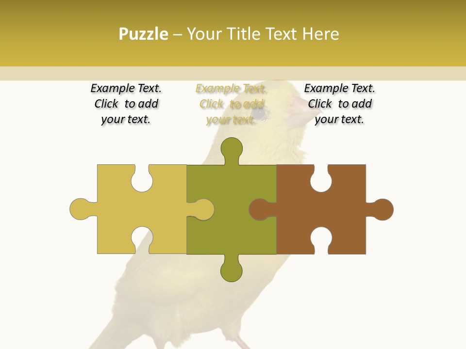 Fauna Exclusive Aves PowerPoint Template