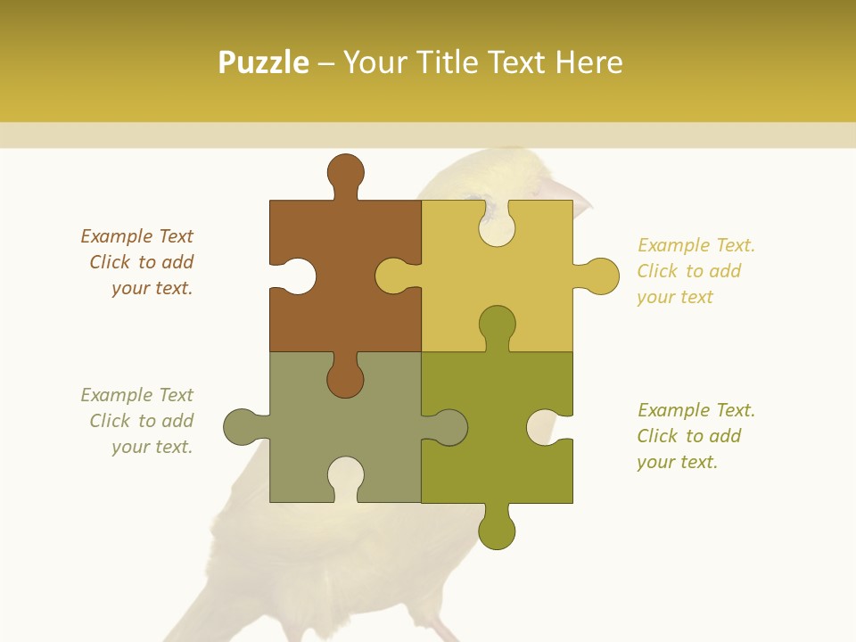 Fauna Exclusive Aves PowerPoint Template