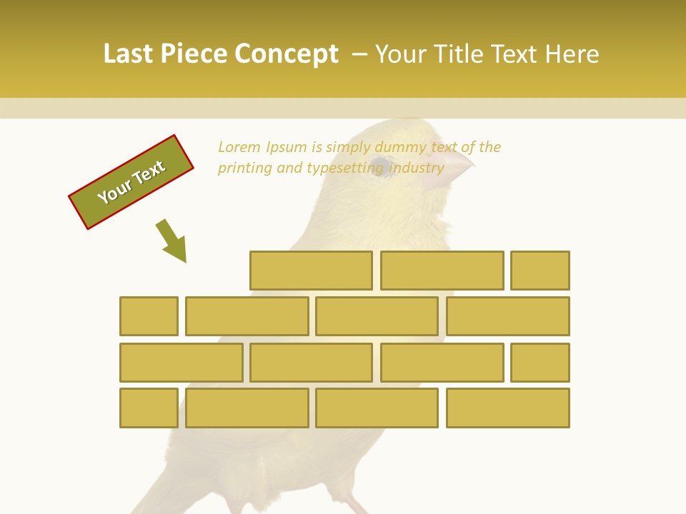 Fauna Exclusive Aves PowerPoint Template