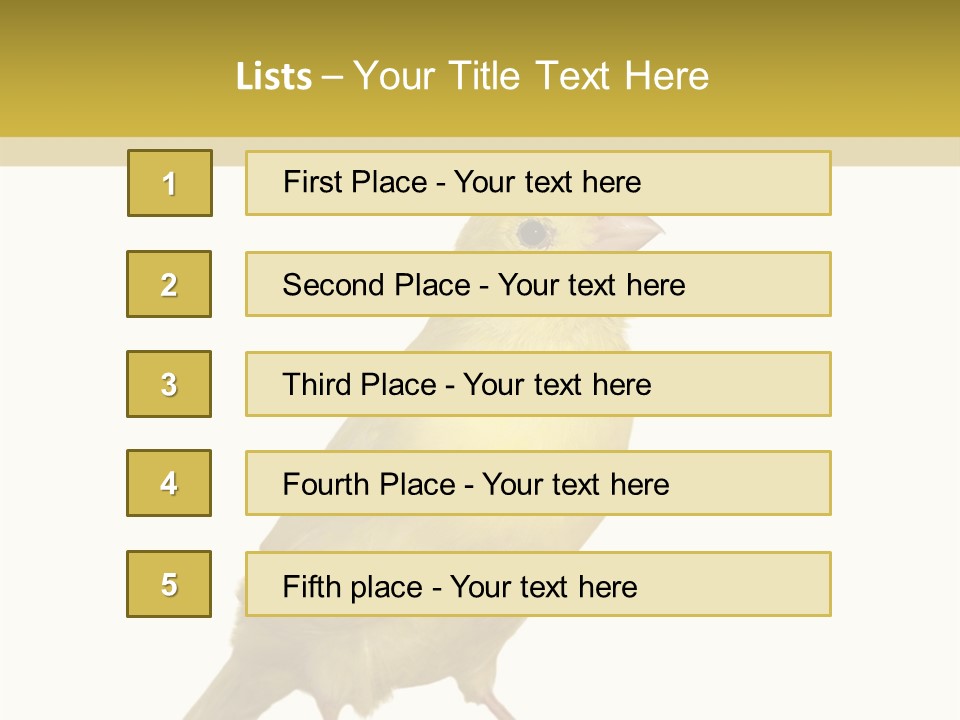 Fauna Exclusive Aves PowerPoint Template