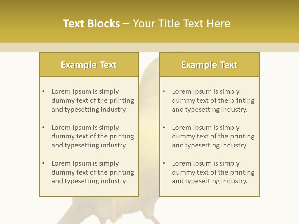 Fauna Exclusive Aves PowerPoint Template