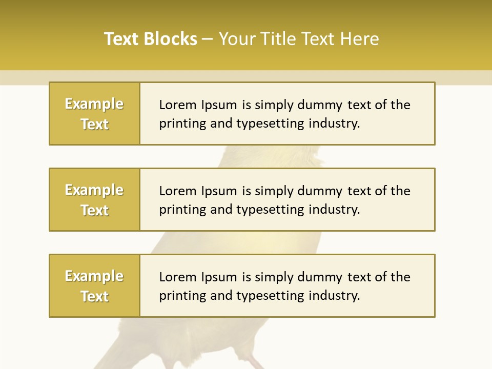 Fauna Exclusive Aves PowerPoint Template