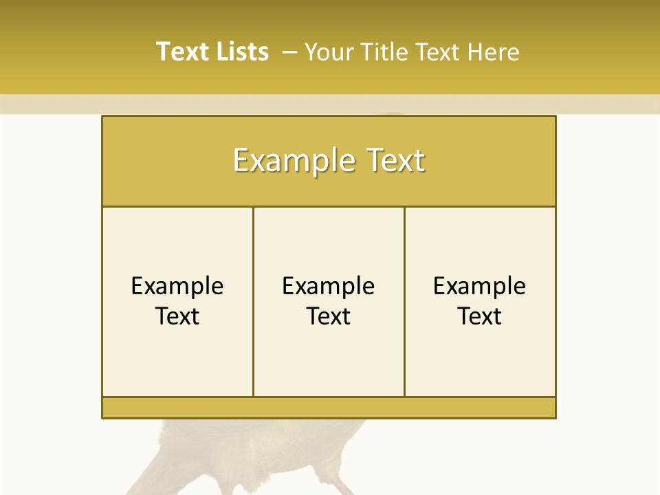 Fauna Exclusive Aves PowerPoint Template