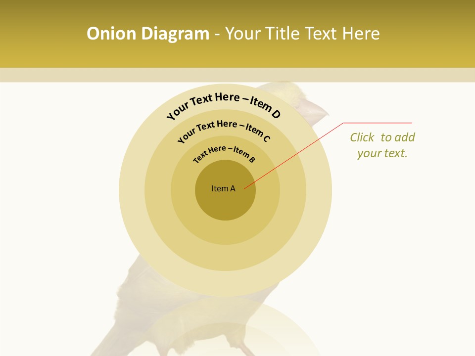 Fauna Exclusive Aves PowerPoint Template