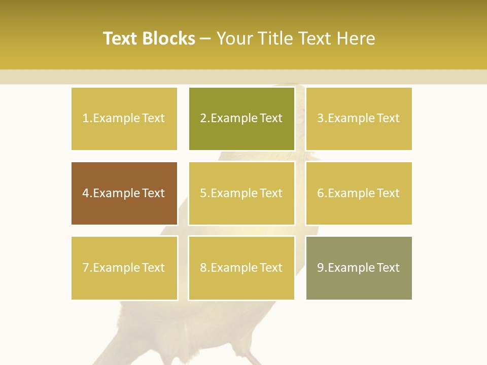 Fauna Exclusive Aves PowerPoint Template