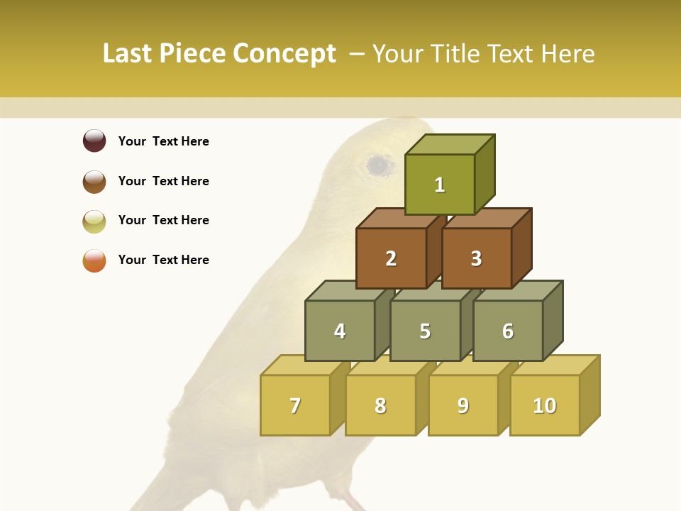 Fauna Exclusive Aves PowerPoint Template