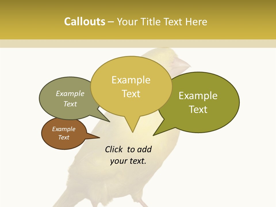 Fauna Exclusive Aves PowerPoint Template