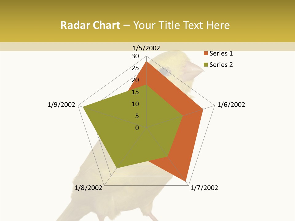 Fauna Exclusive Aves PowerPoint Template