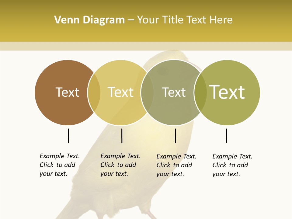 Fauna Exclusive Aves PowerPoint Template