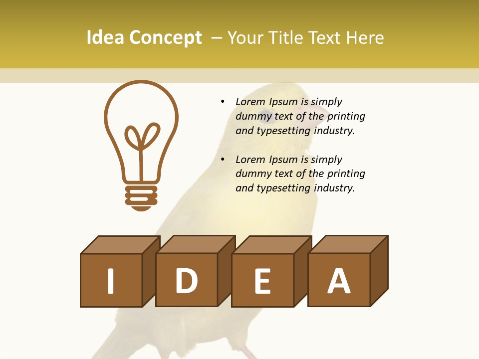 Fauna Exclusive Aves PowerPoint Template