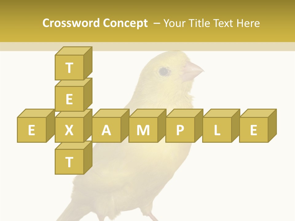 Fauna Exclusive Aves PowerPoint Template