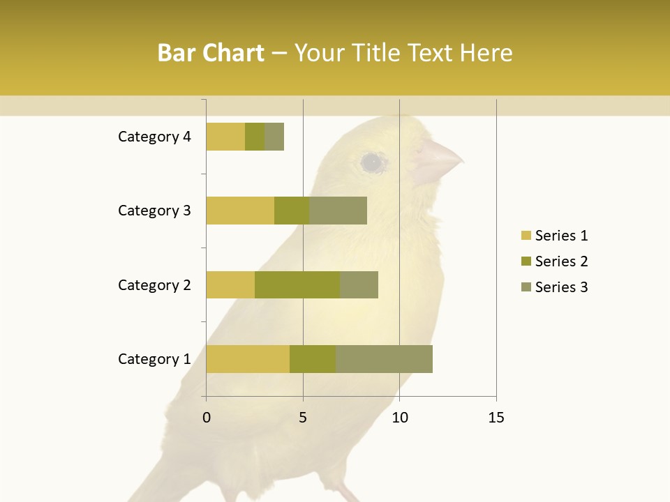 Fauna Exclusive Aves PowerPoint Template