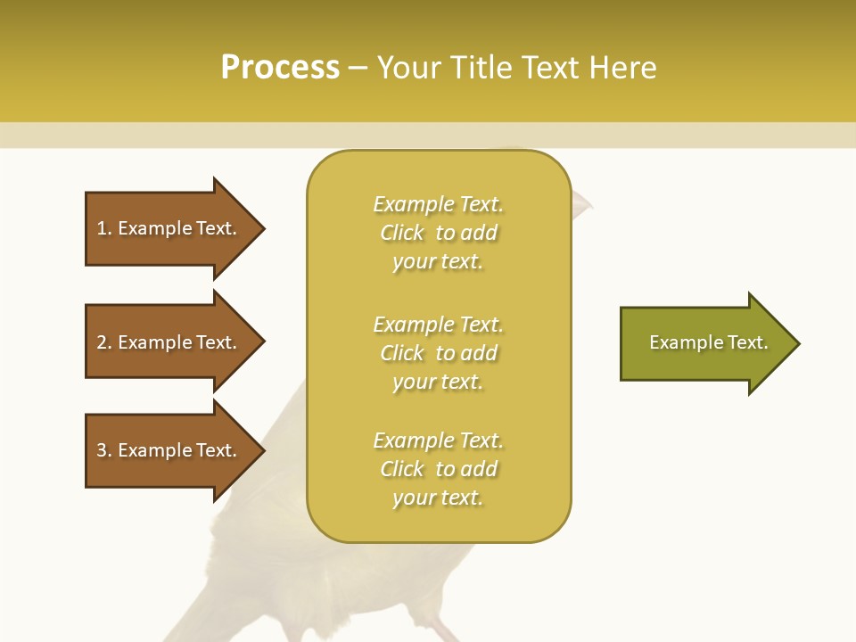Fauna Exclusive Aves PowerPoint Template