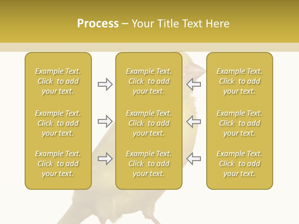 Fauna Exclusive Aves PowerPoint Template