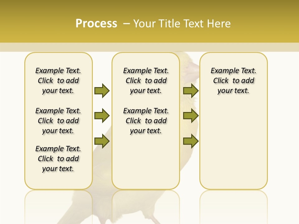 Fauna Exclusive Aves PowerPoint Template