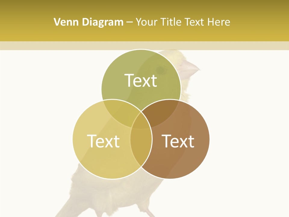 Fauna Exclusive Aves PowerPoint Template