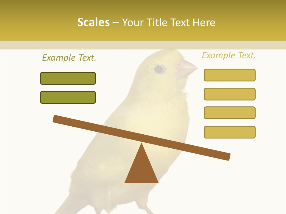 Fauna Exclusive Aves PowerPoint Template